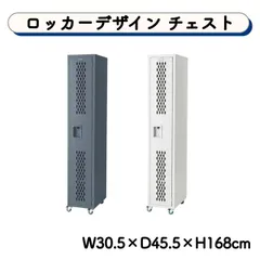 スチールチェスト 2カラー グレー ホワイト ハンガーラック スリム ロッカー ワードローブ キャビネット 衣類収納 隙間収納 靴 シューズ収納 鞄 バッグ インテリア  ヴィンテージ インダストリアル おしゃれ 送料無料
