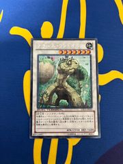 遊戯王 ナチュル・ランドオルス DTC3-JP030 シークレット - メルカリ