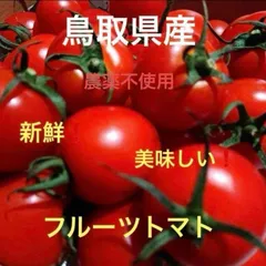 鳥取県産 農薬不使用 フルーツトマトのサムネイル