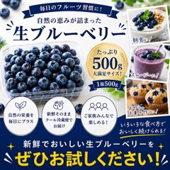 農薬・肥料不使用】山口県産 冷凍ブルーベリー 5kg ハイブッシュ系