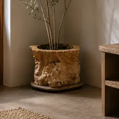 【おもしろ植木鉢】大自然をインテリアに迎えるウッドオブジェ【プランター】観葉植物 園芸用品 インテリア 玄関 ディスプレイのサムネイル
