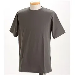 〔2枚セット〕 ドライメッシュ Tシャツ SSサイズ ホワイト ＋ ダークグレー 裏生地 綿100％ 半袖 ティーシャツ tシャツ 通販 おすすめ ギフト
