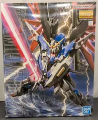 BANDAI SPIRITS MG 1/100 バンダイナムコ版 デスティニーガンダム 15+表記のサムネイル