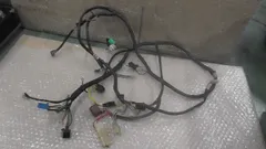 セピアZZ　CA1EC-112xxx　の　ハーネス:#1782354686のサムネイル