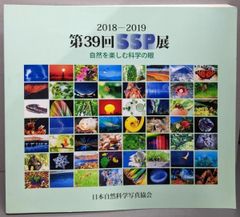 中古】20世紀デザイン: パイオニアたちの仕事・集大成／ペニー