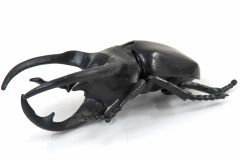 中古】雑貨 黒子テツヤ esシリーズnino ぴたぬい 「黒子のバスケ