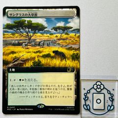 MTG サングラスの大草原 - メルカリ