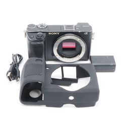 ユーカリ様専用 Sony RX100M5A 個セット - メルカリ