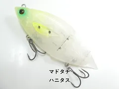 マドタチ ハニタス (03-8312190039)のサムネイル