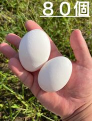 のびのび育った平飼い自然卵（80個入り）｜一切の薬剤•ワクチン不使用