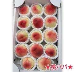 白鳳〜順次発送★桃パパ★家庭用桃【送料無料】あらかわブランド桃のサムネイル
