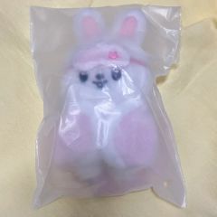 ALD1 ボイプラ サンウォン 10cm マスター ぬいぐるみ - メルカリ