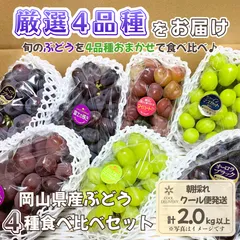 2026年最新】シャインマスカットの人気アイテム - メルカリ