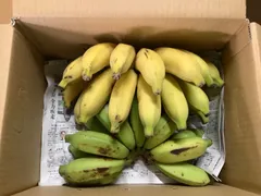沖縄産★バナナ(約3kg)のサムネイル