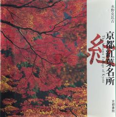 剣道清談三 井上義彦著 - メルカリ