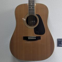 Bill Lawrence BCOR-55B シャケモデル - メルカリ