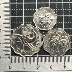 帝政ロシア銀貨】1899年 50コペイカ .900銀 約9.72g ニコライ2世 1/2