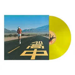 高中正義 / AN INSATIABLE HIGH [LP]のサムネイル