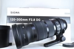 SEL300F28GM【付属品完備ワイド保証付】 - メルカリ