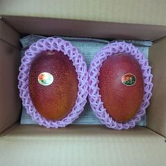 宮崎県産 太陽のタマゴ 赤秀 4Lサイズ2玉入り化粧箱 - メルカリ