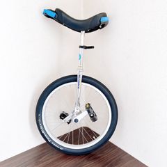 希少品 MYS 室内演技用 ロングポスト 20インチ一輪車 - メルカリ