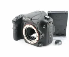 2026年最新】sony α77iiの人気アイテム - メルカリ