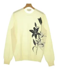 ALEXANDER MCQUEEN ニット・セーター メンズ 【古着】【中古】【送料無料】のサムネイル