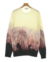 ALEXANDER MCQUEEN ニット・セーター メンズ 【古着】【中古】【送料無料】のサムネイル