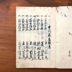 真情春雨衣 全1冊 写本 和本 古書 文学 真情春雨衣 全1冊 写本 和本 古書 文学 - メルカリ