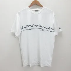 d■ヘリーハンセン/HELLY HANSEN 半袖ドライTシャツ【XL】白/MENS/10【中古】のサムネイル