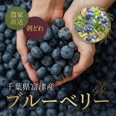 【農家直送】千葉県富津産　朝どれ完熟ブルーベリー　☆　クリックポスト　300g　ブルーベリー　果物のサムネイル