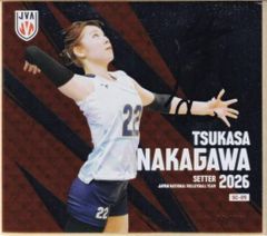 1/70シリアル 女子バレーボール石川真佑 シークレット 印刷サインミニ