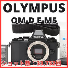⭐︎RITAO CHAN様専用⭐︎OLYMPUS E-3 ボディ - メルカリ