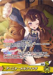 管理番号1】カードファイト‼︎ヴァンガード,シングルカード,DZシリーズ