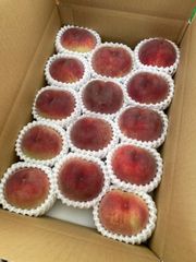 「夢桃香」と「紅りょうぜん」1400gあっぷ 夢桃香」と「紅りょうぜん」1400gあっぷ - メルカリ