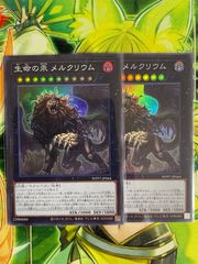 遊戯王 黒衣のアルバス 追放者エクレシア 2枚セット - メルカリ