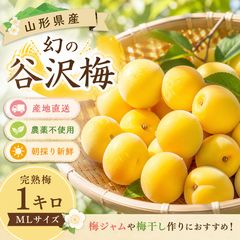 幻の谷沢梅 青梅1kg 農薬不使用 産地直送 - メルカリ