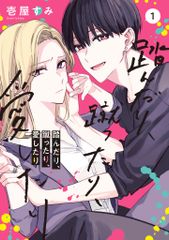 プリンストン数学大全/朝倉書店/ティモシ-・ガウア-ズ（大型本