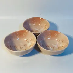 前畑陶器 竹久夢二 中鉢 3客セット maebata 丸鉢 和柄 花柄 桜柄 食器 陶磁器 送料込み フォロー割 クーポンご利用可能 お値引き交渉可能 一点限りのサムネイル