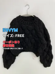 ENVYM アンビー ニット/セーター FREE ブラック ニット 無地 ショート丈 長袖 クルーネック(丸首) レディースのサムネイル