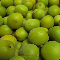 青うめ南高梅約1kg(箱等込み) 梅酒梅ジュース梅シロップにいかがのサムネイル