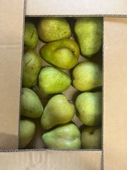 ベトナム産グリーンマンゴー約2kg(5〜9個)冷蔵発送 - メルカリ