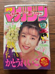 基本件名標目表 第4版 BSH - メルカリ