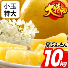 送料無料【夏文旦わけあり10kg】味のクレームゼロのサムネイル