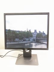 DELL P1917S 19인치 모니터 디스플레이