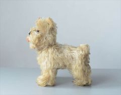 Steiff シュタイフ ワイヤーヘアードダックスフンド Raudi Steiff シュタイフ ワイヤーヘアードダックスフンド Raudi - メルカリ