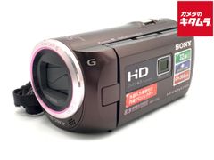 SONY ソニー ハンディカム HDR-CX390 ビデオカメラ バッテリー2個