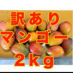 鹿児島県産 完熟マンゴー SMLサイズ混 1.4kg前後 - メルカリ