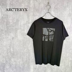 12【ヴィンテージ復刻】アークテリクス　リザードTシャツ　XL 希少デザイン　黒 12【ヴィンテージ復刻】アークテリクス リザードTシャツ XL 希少