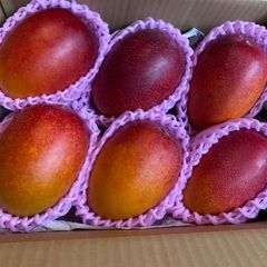 訳あり】宮崎完熟マンゴー 10玉 約4.3kg 冷蔵発送 - メルカリ
